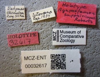 Media type: image;   Entomology 32617 Aspect: labels